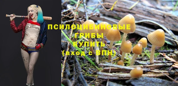 хмурый Абаза