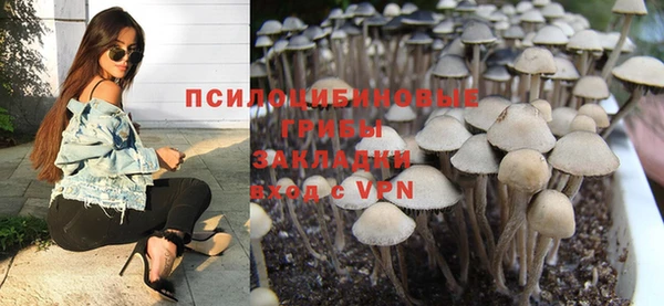 твердый Абинск