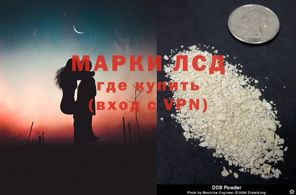 хмурый Абаза