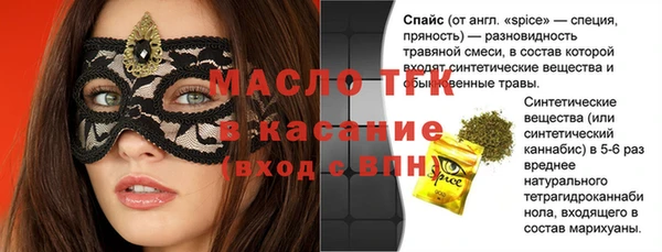 хмурый Абаза
