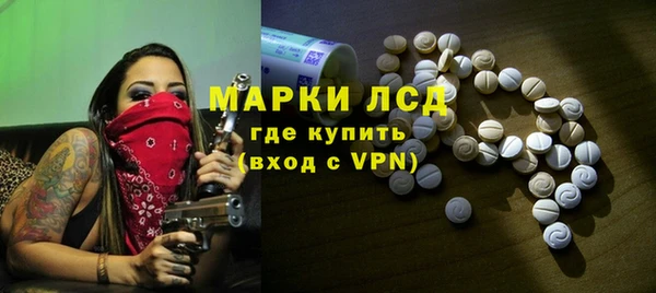 хмурый Абаза