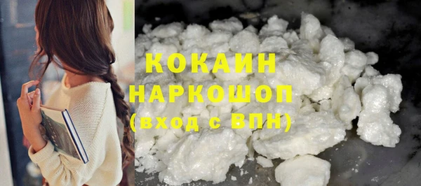 хмурый Абаза