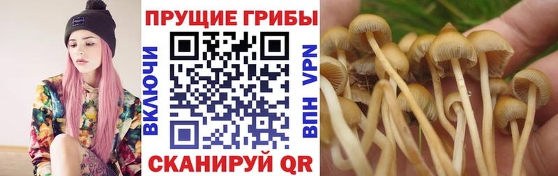 Псилоцибиновые грибы GOLDEN TEACHER  цена наркотик  Рыльск 